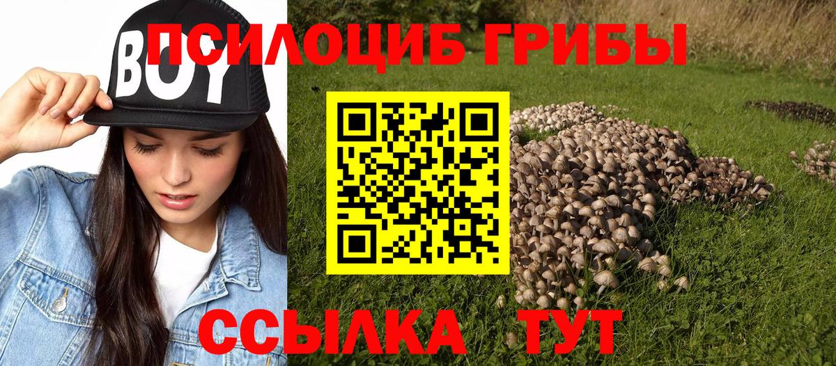 Псилоцибиновые грибы ЛСД Касимов
